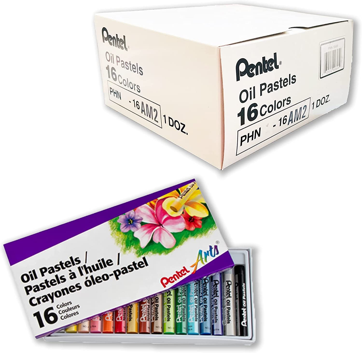 Pentel Arts Oil Pastels, Set of 16 Colors, 1 Dozen (12 Packs), Bulk /  Classroom Pack (PHN-16AM) 