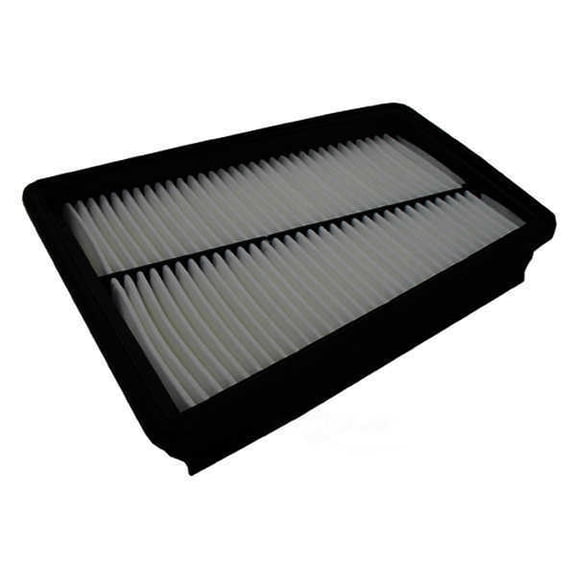 Pentius PAB10661 High-Quality Engine Air Filter Replacement filter for 2009-2016 Hyundai Genesis