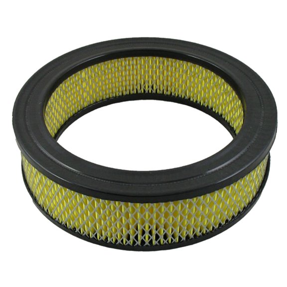 Pentius PAB160 Pentius Filter Fits select: 2003 DODGE RAM 3500, 1989-1996 DODGE DAKOTA