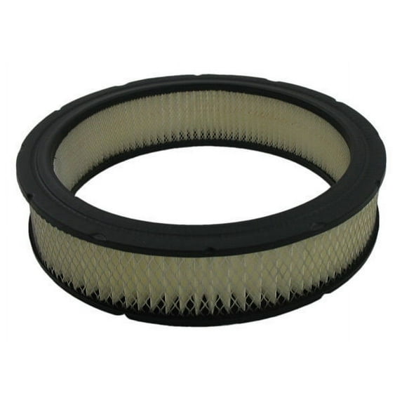 Pentius PAB351 Pentius Filter Fits select: 1975-1985 FORD F150, 1972-1983 FORD F100