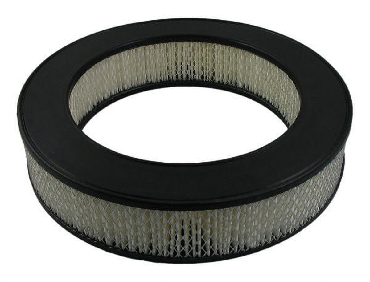Pentius PAB6334 Pentius Filter Fits select: 1988-1990 DODGE DAKOTA, 1988-1989 DODGE D-SERIES