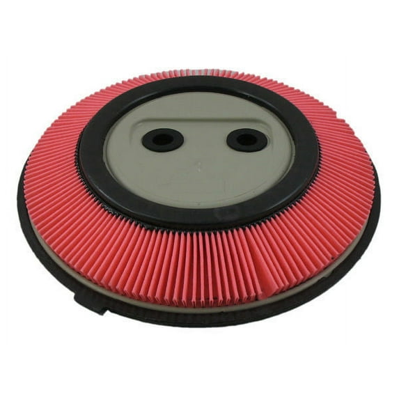 Pentius PAB6619 Pentius Filter Fits select: 1989-1990 NISSAN SENTRA, 1989-1990 NISSAN PULSAR