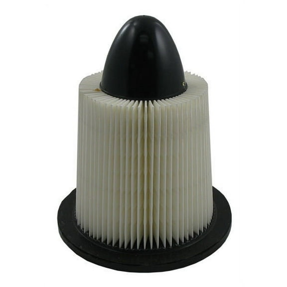 Pentius PAB7730 Pentius Filter Fits select: 1994-2004 FORD MUSTANG, 1998-2000 FORD CONTOUR