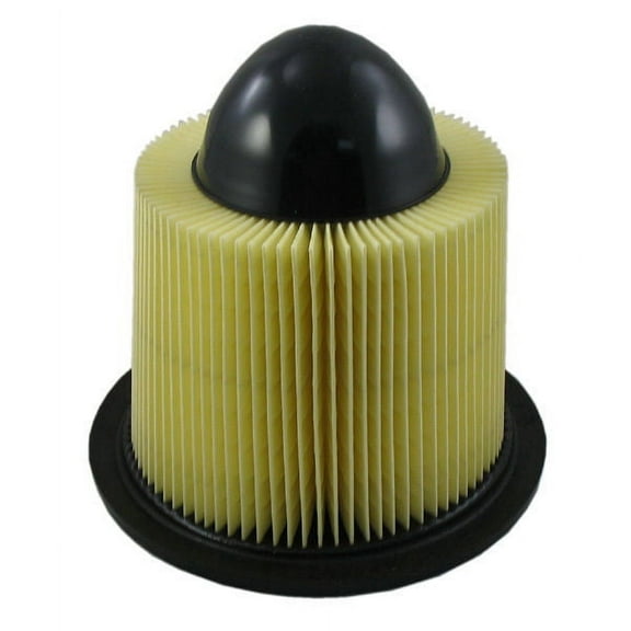 Pentius PAB8039 Direct Replacement Engine Air Filter for 1997 - 2008 Ford F150, 1997 - 2004 F250