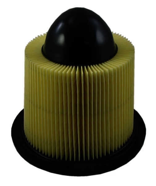 Pentius PAB8039 Direct Replacement Engine Air Filter for 1997 - 2008 Ford F150, 1997 - 2004 F250