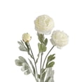 thumbnail image 1 of Peonies Artificial Flowers 1pcs Artificial Ranunculus Flowers 3 Heads Silk Peonies with Stems Real Look for Spring Decorations Floral Arrangements Home Table Centerpiece (White), 1 of 9