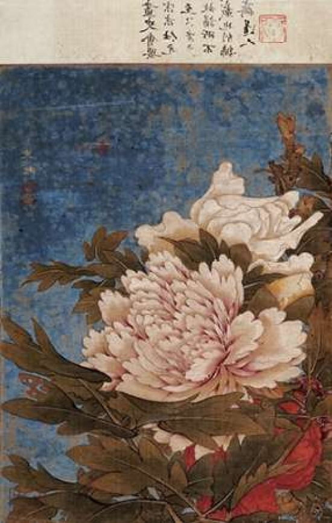 Peonies Canvas Art - Shi Gang (24 x 36)
