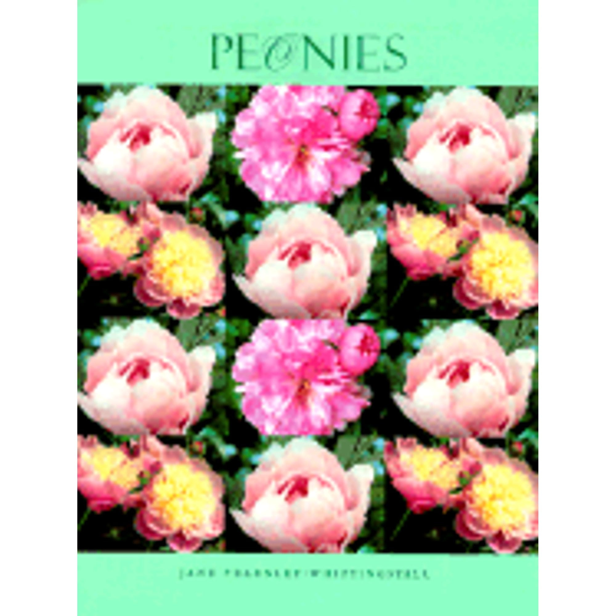 Peonies (Hardcover) by Jane Fearnley-Whittingstall