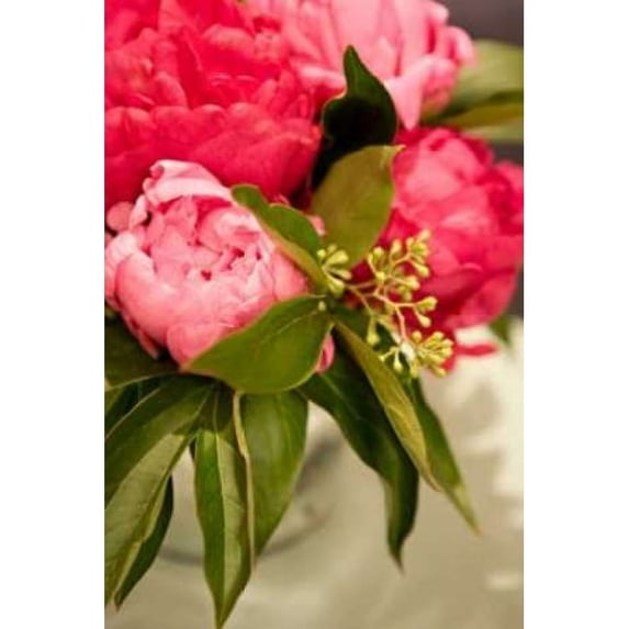 Peonies I Poster Print by Karyn Millet