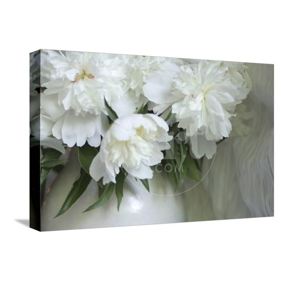 Peony, Botanical Stretched Canvas Wall Art by Anna Miller Sold by ArtCom