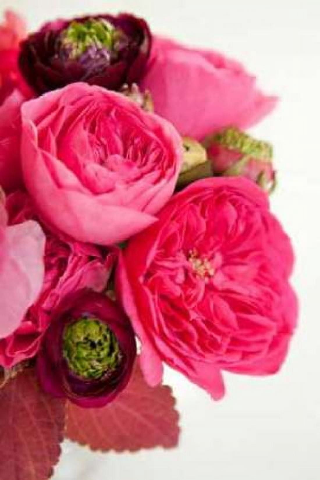 Peony Bouquet II Canvas Art - Karyn Millet (12 x 18)