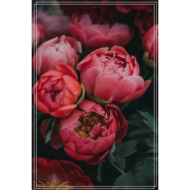 How To Plant A Peony Plant - Bricks 'n Blooms With Stacy Ling