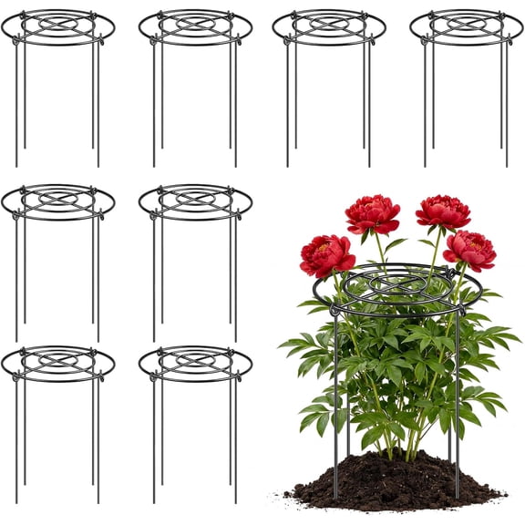 Peony Cages and Supports 8 Pack, 12x16 Inch Heavy Duty Metal for Outdoor Plants  Grow Through Flower Support Rings for Peonies, Roses, Tomatoes & Hydrangeas