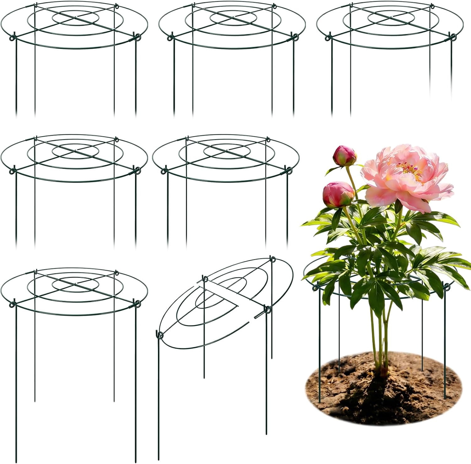 Peony Cages and Supports 8 Pack, 16.5 x 20 Inch Heavy Duty Plant Support Cage Set for Peonies, Roses & Tomatoes – Garden Stakes & s for Outdoor Plants (8 Pack, 16.5 x 20 Inch)