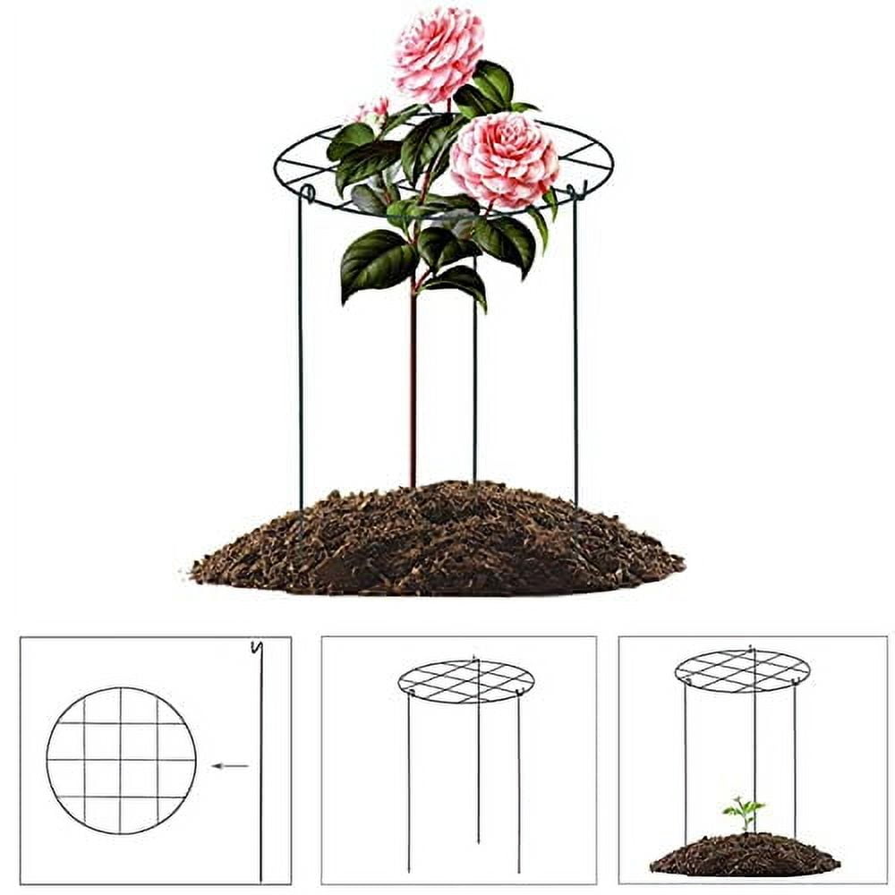 Peony Cages and Supports, Pack of 6 Metal Grow Through Plant Support Stakes Grid Plant Brace Flower Support Rings Hoops with 3 Pcs Legs for Flowers, Peonies, Rose, Lily (16in)