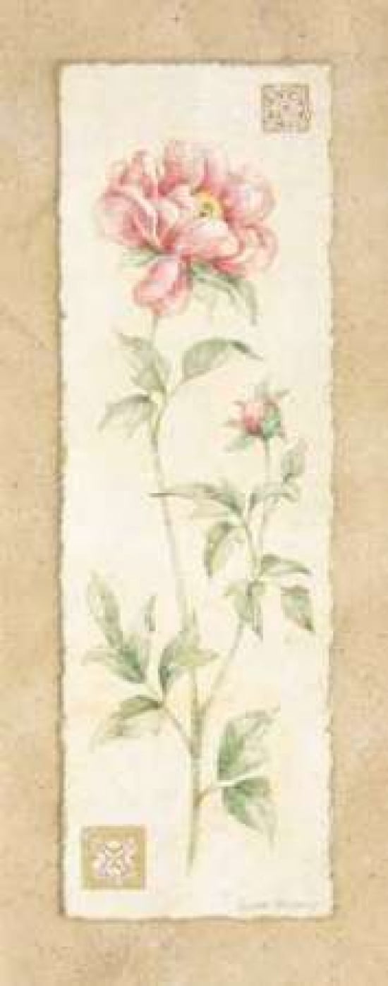 Peony Canvas Art - Pamela Gladding (10 x 20)