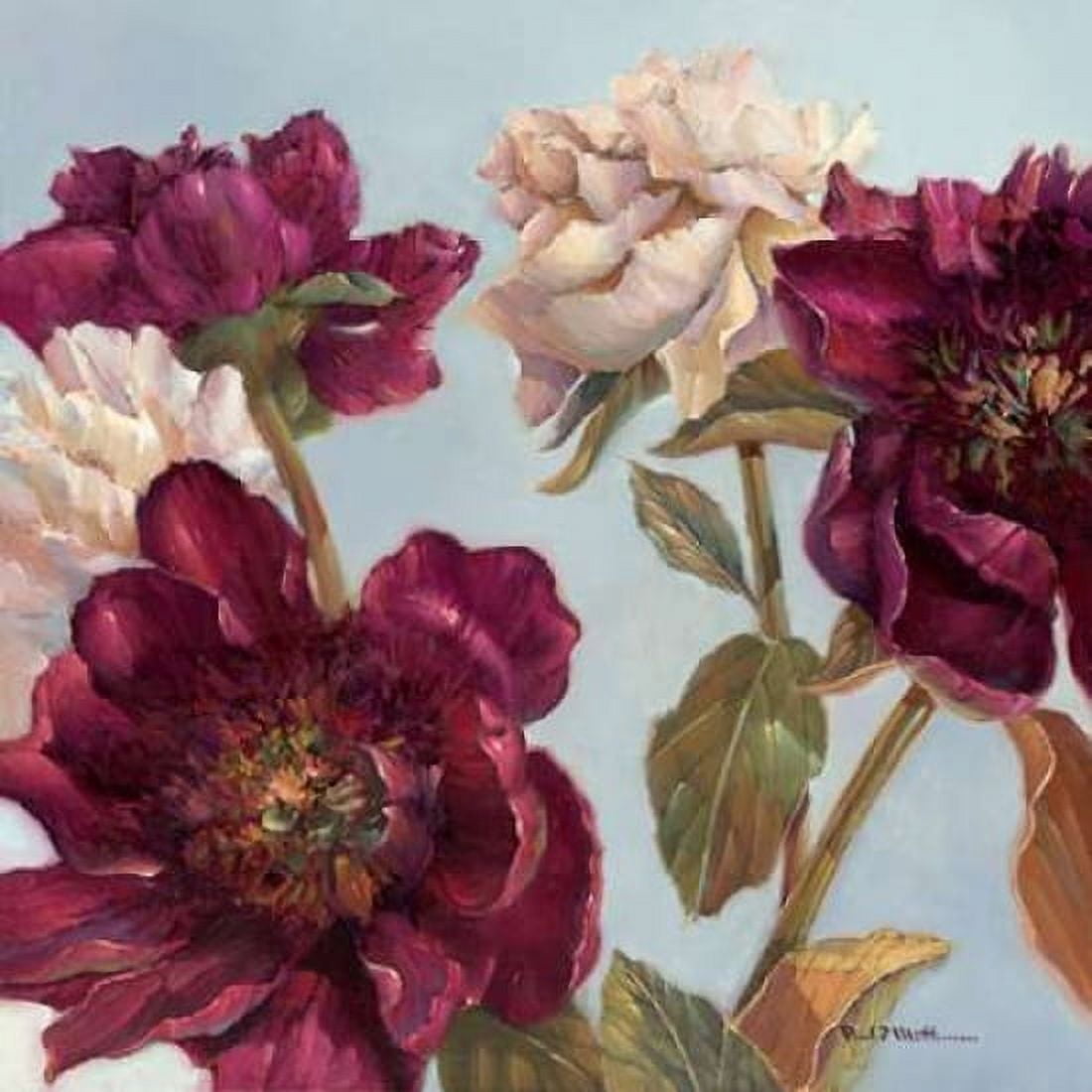 Peony Canvas Art - Paul Mathenia (24 x 24)