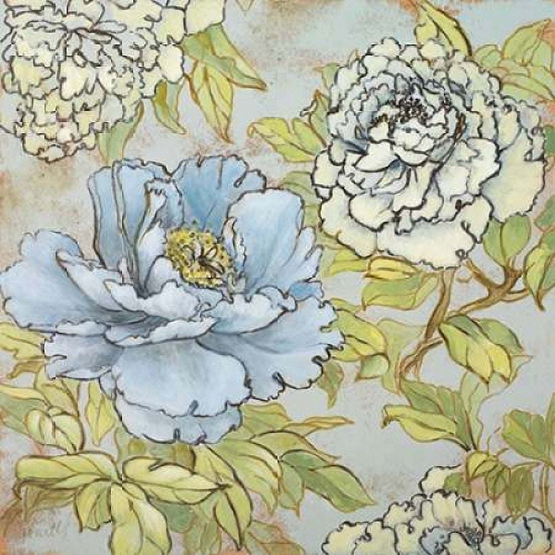 Peony Fascination I Canvas Art - Lanie Loreth (24 x 24)