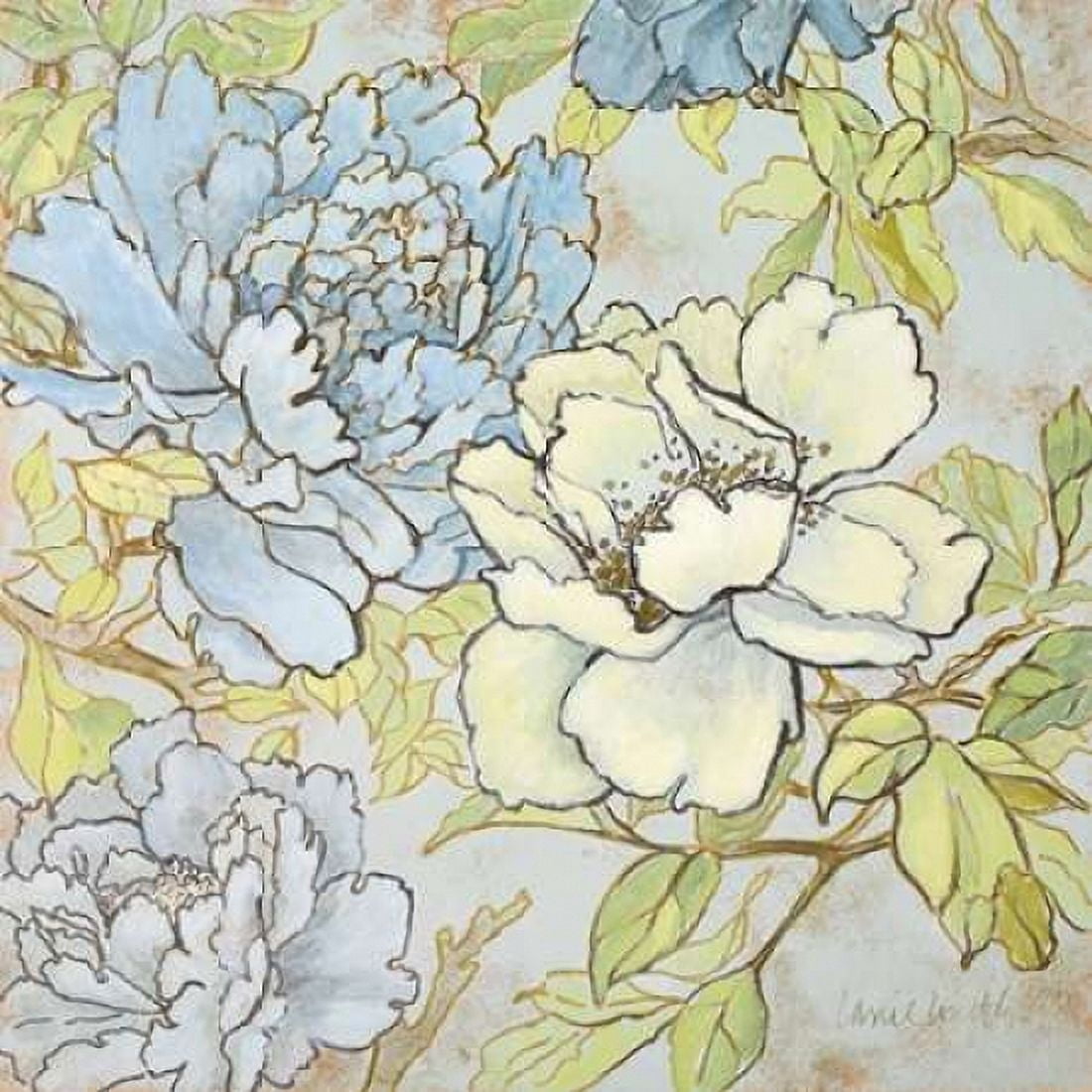 Peony Fascination II Canvas Art - Lanie Loreth (24 x 24)