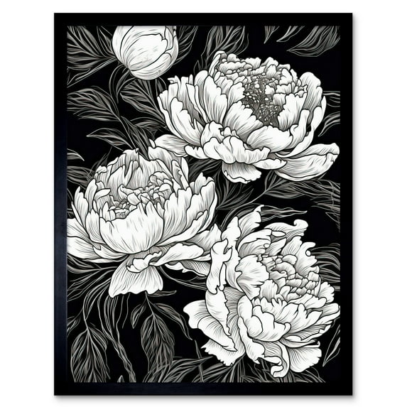 Peony Flower Blooms White on Black Illustration Art Print Framed Poster Wall Decor 12x16 inch