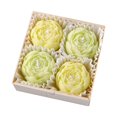 thumbnail image 1 of Peony Flower Scented Candle, Aromatherapy Soy Wax Candle for Home, Stress Relief, Bath & Relaxation, Valentine's Day, Anniversary & Birthday Gift for Women, Moms & Friends, 4Pcs(Green,3.4x3.3x1.4"), 1 of 9