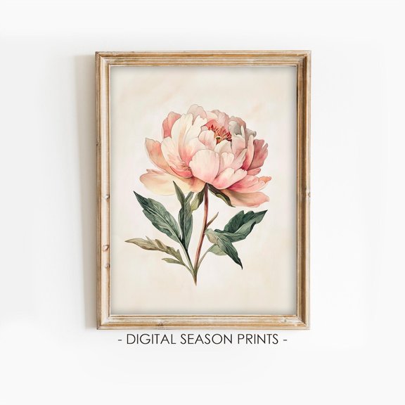 Peony Flower Wall Art Vintage Botanical Floral Home Room Interior Decorative Display Accent