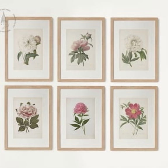 Peony Print Set of 6, Peony Wall Decor, Vintage Botanical Peony Flower Print, Minimalist Print, Bedroom Wall Decor, Pink Flower Print, Poster Only