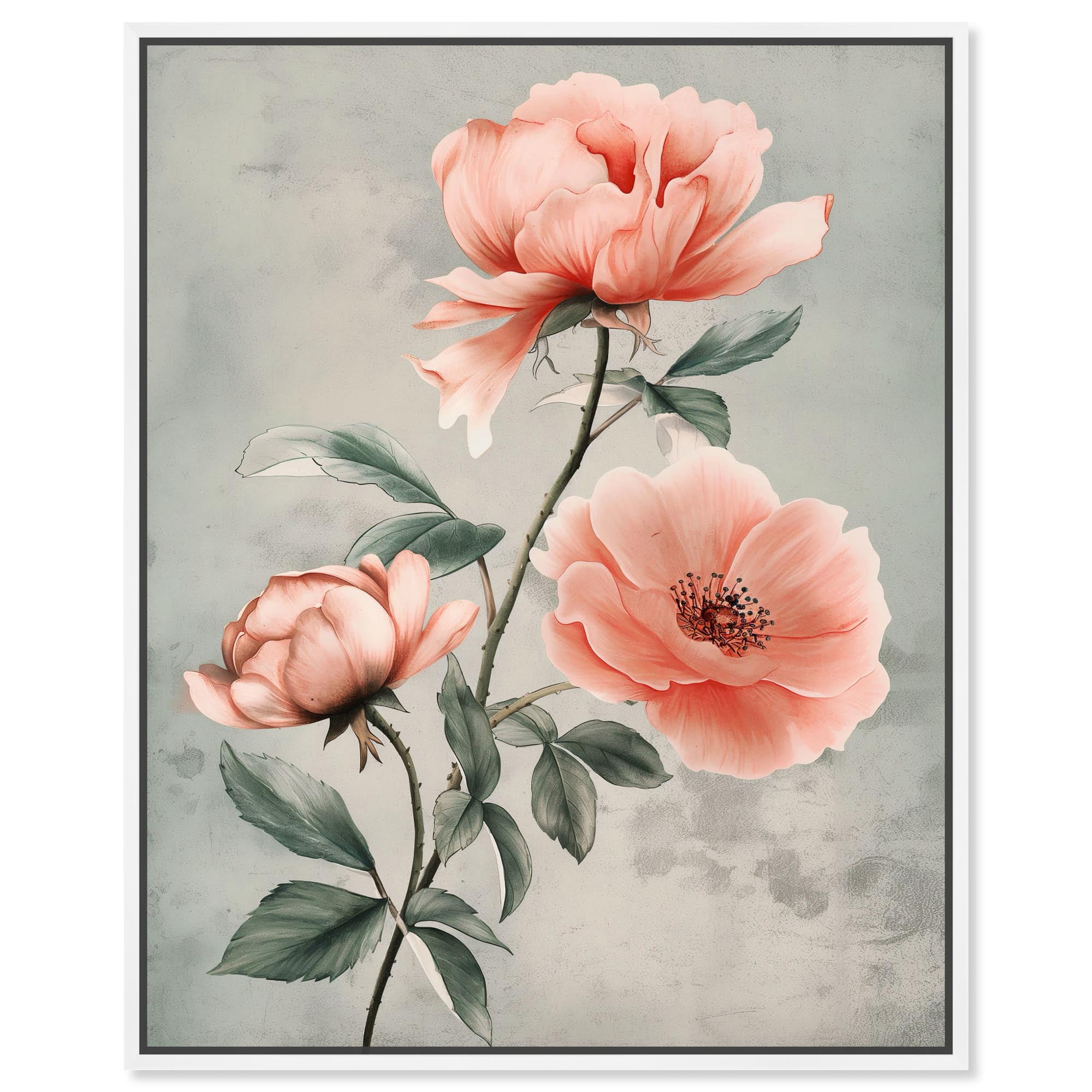 Peony-Whisper-Canvas-Vintage-