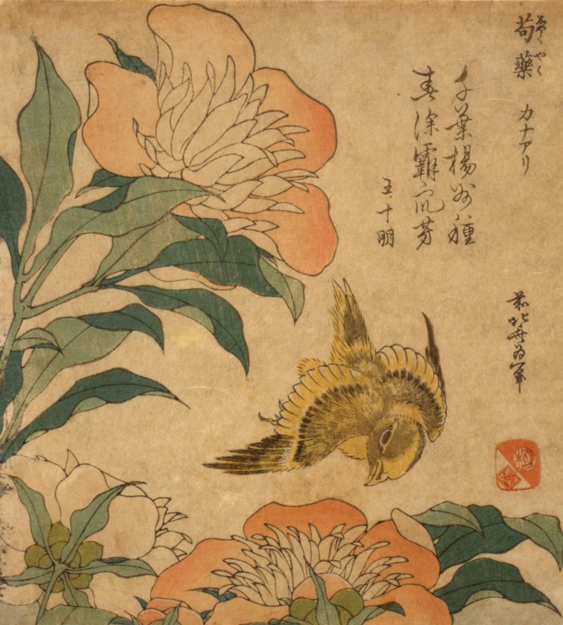 Peony and canary 1833 or 1834 Canvas Art - Hokusai Katsushika (18 x 24)