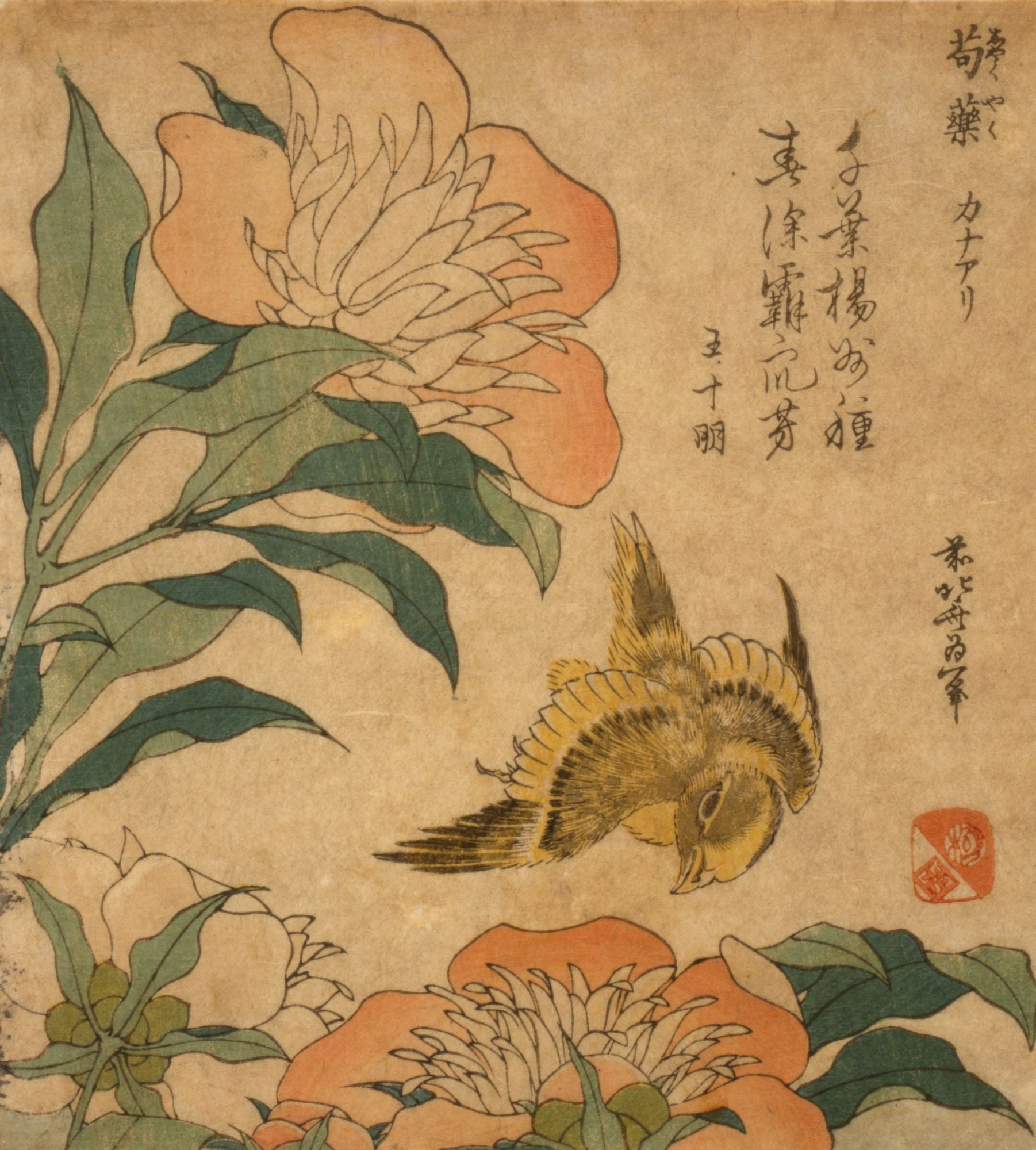 Peony and canary 1833 or 1834 Canvas Art - Hokusai Katsushika (24 x 36)