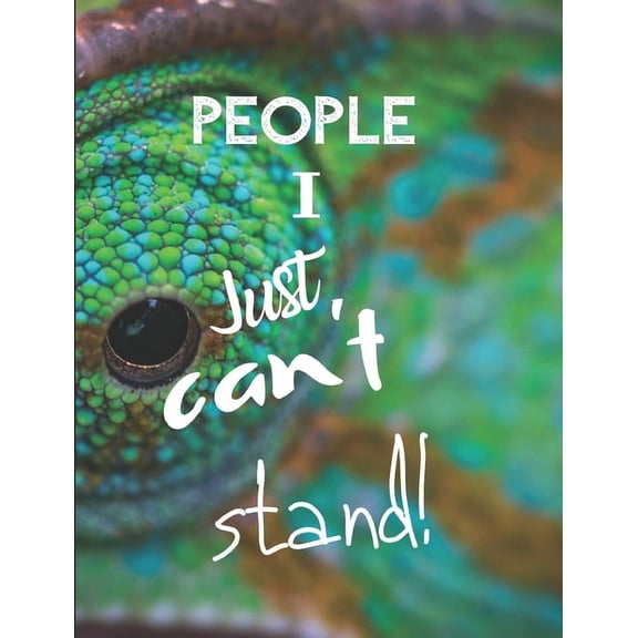 People I Just Can't Stand - Let It All Out: Anger management - Expressive Therapies - Overcoming Emotions That Destroy, (Paperback)