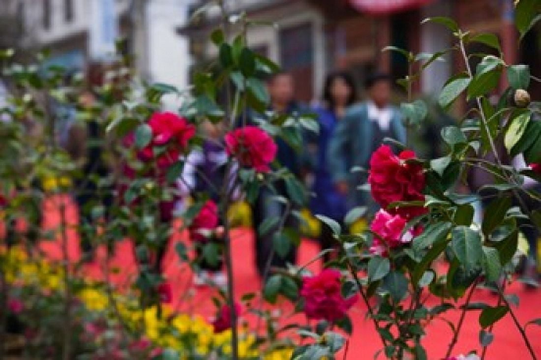 People at spring flower festival Old Town Dali Yunnan Province China Canvas Art - Panoramic Images (36 x 24)