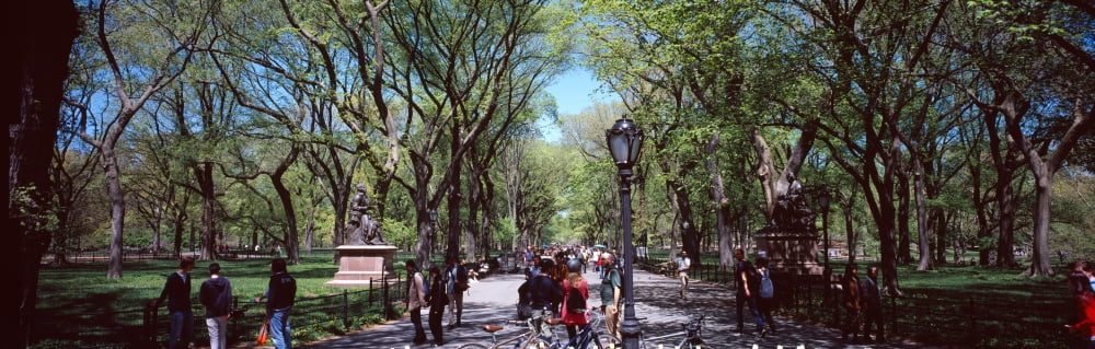 People in the Central Park Manhattan New York City New York State USA Canvas Art - Panoramic Images (36 x 12)