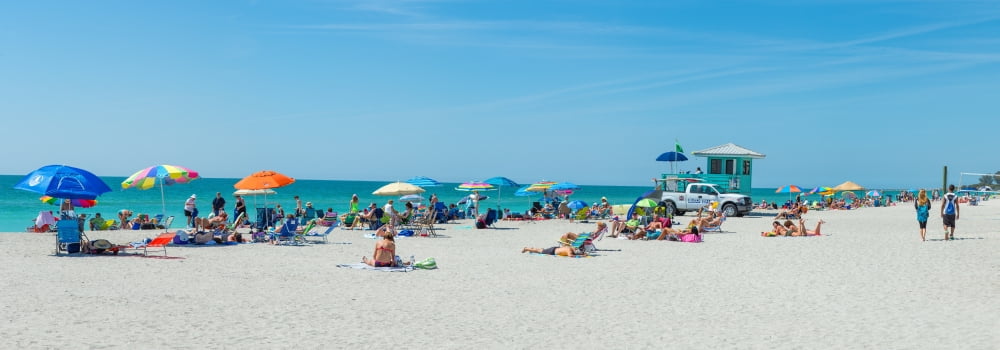 People on the beach Venice Beach Gulf Of Mexico Venice Florida USA Canvas Art - Panoramic Images (36 x 12)