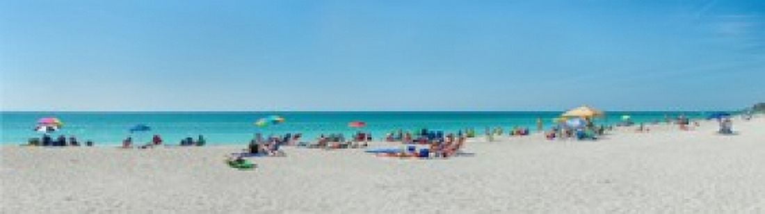 People on the beach Venice Beach Gulf Of Mexico Venice Florida USA Canvas Art - Panoramic Images (40 x 12)