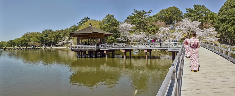 People walking on bridge over a pond SagiIke Pond Nara Nara Prefecture Japan Canvas Art - Panoramic Images (36 x 12)