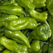 Pepper, Cubanelle Sweet Pepper Seeds, Non GMO, 500 Seeds per Pack, Some Prefer The Cubanelle Pepper to Traditional Bell Peppers Because of Their Sweet and mild Flavor.
