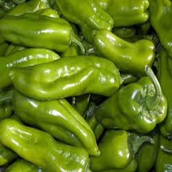 Pepper, Cubanelle Sweet Pepper Seeds, Non GMO, 500 Seeds per Pack, Some Prefer The Cubanelle Pepper to Traditional Bell Peppers Because of Their Sweet and mild Flavor.