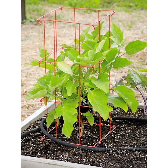 Pepper and Eggplant Cages Plant Stand | Heavy Gauge Sturdy Garden Plants Support for Eggplants Peppers and Other Climbing Plants | No Assembly Needed | Red 24" H (Set of 3)