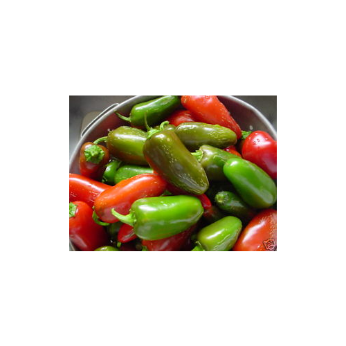 Pepper HOT Jalapeno Early Great Heirloom Vegetable by Seed Kingdom (1/4 LB Seeds)