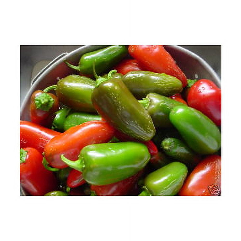 Pepper HOT Jalapeno Early Great Heirloom Vegetable by Seed Kingdom (1/4 LB Seeds)