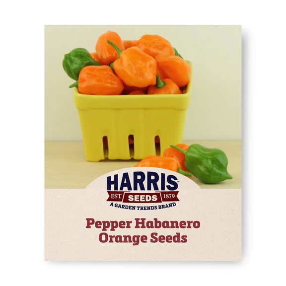 Harris Seeds Habanero Orange Pepper, Hot Chili Variety for Garden Growing, 50 Count