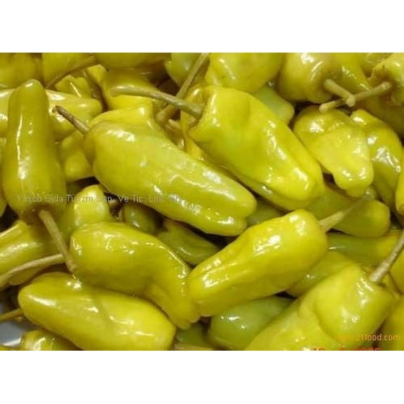 Pepper Hot Pepperoncini BULK 500 Seeds Great Heirloom Vegetable