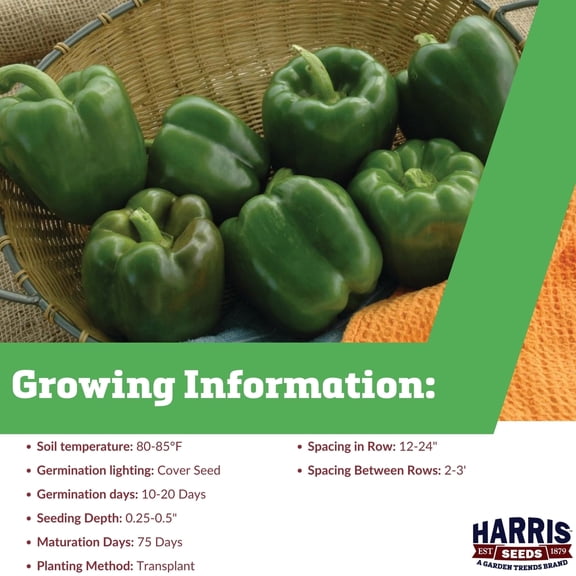Harris Seeds - Pepper Karisma F1 Seeds - Treated Variety - Large Fruits - 250 Seeds