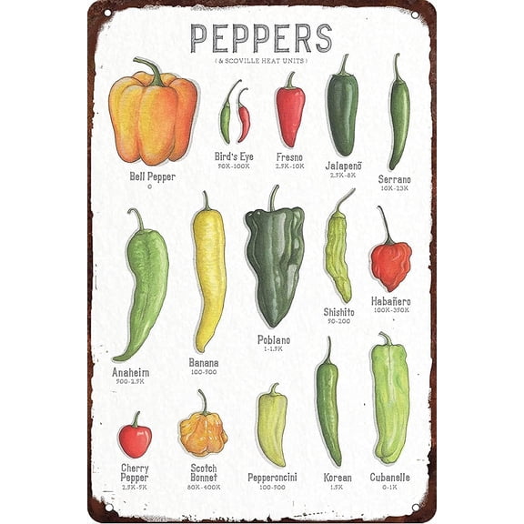 Pepper Knowledge Metal Signs Peppers Scoville Heat Units Posters Wall Decor Retro Plaque Science Guide Room Club Kitchen Cafe Garage Home Bar Pub Diner 8x12 inches