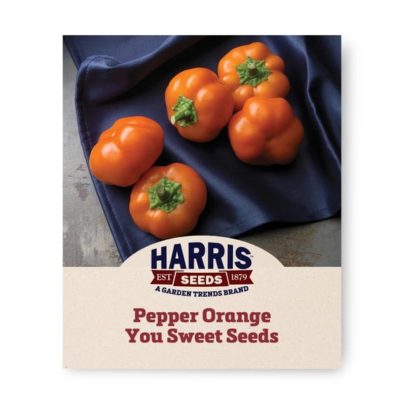 Harris Seeds Orange You Sweet F1 Pepper, Orange Stuffing & Pickling Peppers, 100 Count