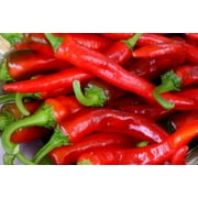 Pepper Portugal Hot Great Heirloom Vegetable by Seed Kingdom 1 Oz Seeds