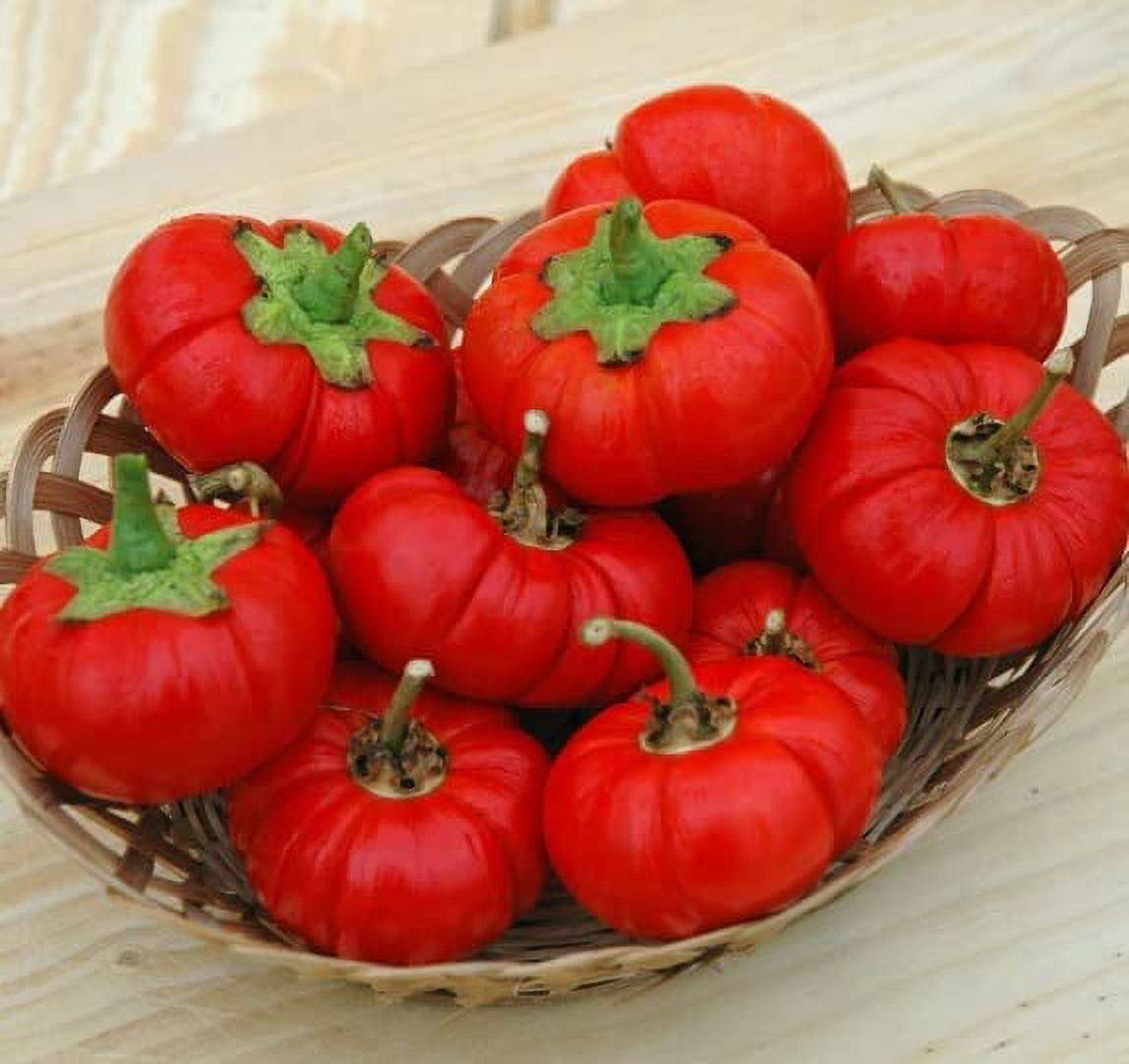 Pepper Pumkin Seeds for Planting (5 Rare Seeds) - Grow Peppers Shaped ...
