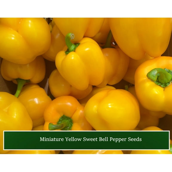 Pepper SEEDS -   Miniature Yellow Bell! - 20 Seeds- Heirloom -All Natural  Serendipity Seeds