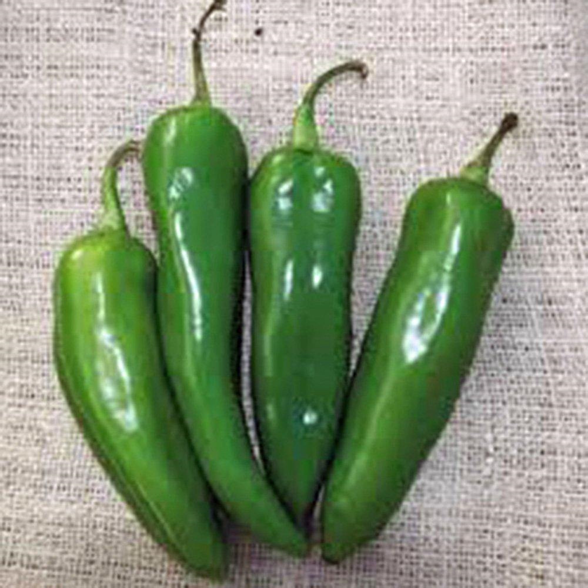 Pepper Seed , Anaheim, Heirloom, 100 Seeds, Mildly Spicy Great Fresh OR Dried